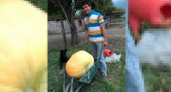 Cosecharon un zapallo de 30 kilos en una huerta de Vera | Información General