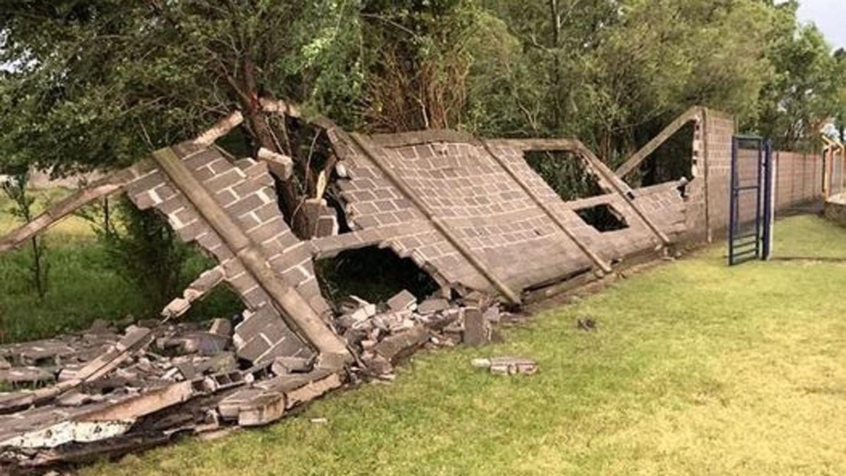 Temporal en Córdoba: caída de árboles y cortes de luz por el fuerte viento | Información General
