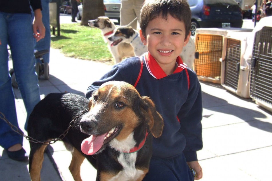 El Imusa refuerza su campaña de adopción permanente y brinda recomendaciones para las fiestas | Información General