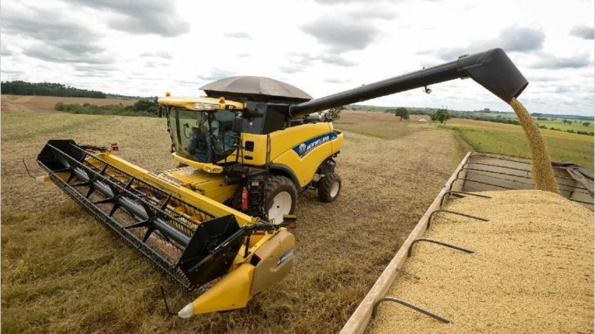 Arrancó el paro del campo por 72 horas | Información General
