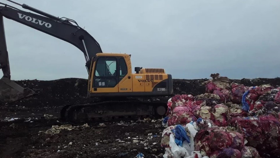 Hallaron nueve fetos en estado de descomposición en basural de Mar del Plata | Información General