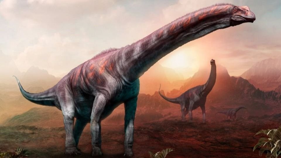 Descubrieron restos fósiles de una nueva especie de dinosaurio en Argentina que podría ser el más grande de la historia | Información General