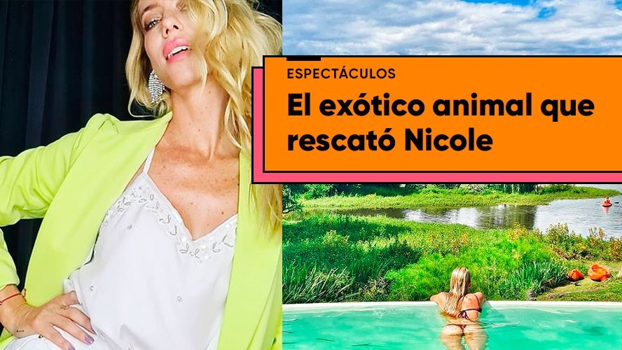 La particular mascota que rescató Nicole Neumann | Entretenimiento