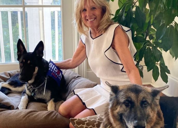 La Casa Blanca vuelve a tener mascotas: los perros Champ y Major ya están en al residencia presidencial | Internacionales