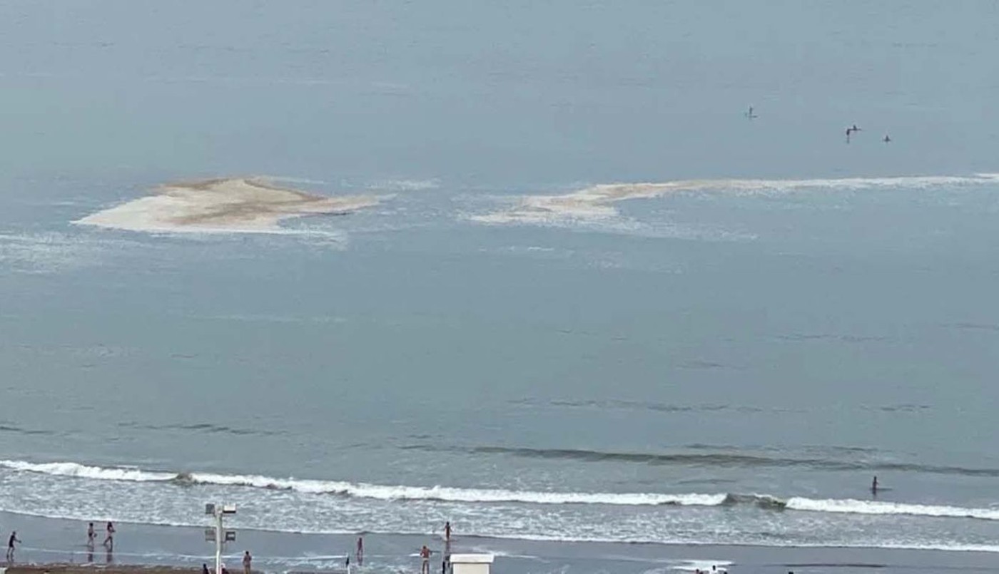 Alarma en Mar del Plata por una mancha marrón que apareció en el agua | Información General