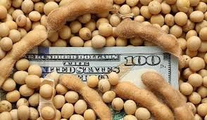 La agro exportación ingresó U$S 2,14 mil millones en enero | Información General