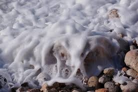 Espuma marina en Punta Mogotes: ¿Por qué se genera este fenómeno? | Información General