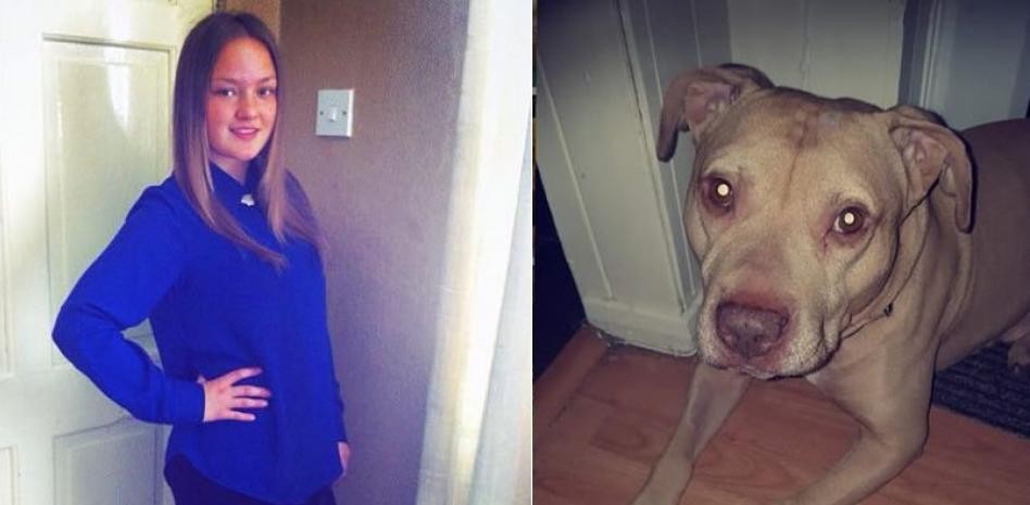 Murió una joven tras ser atacada por su perro mientras dormía | Internacionales