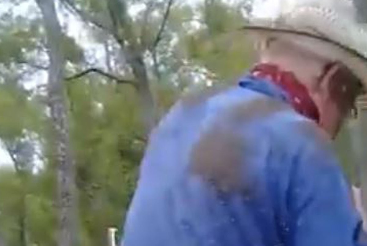 Video: el brutal ataque de una plaga de mosquitos a un hombre en el campo | Información General