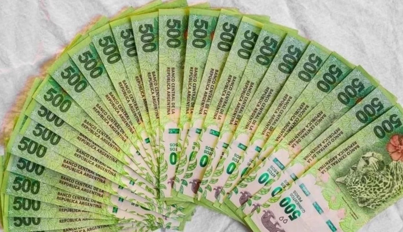 El Gobierno presentó dos subsidios para jóvenes que reemplazarán al IFE | Información General