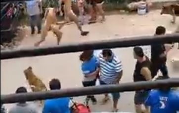 VIDEO: Vecinos desnudan a tres delincuentes y los echan del barrio | Información General