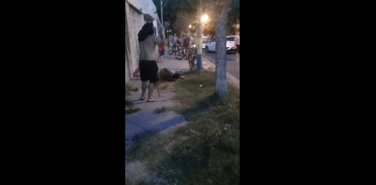 Sigue la inseguridad y hubo otra detención ciudadana | Información General