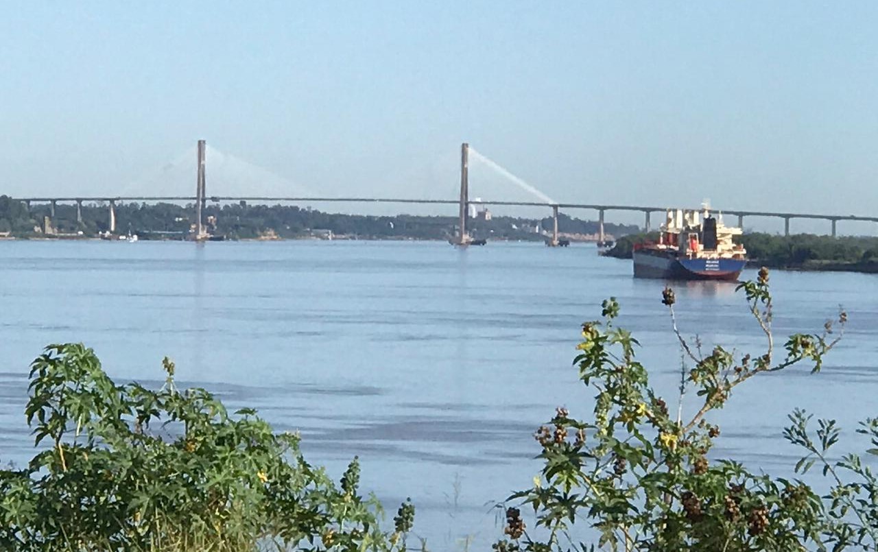 Miércoles con sol a pleno y temperatura agradable | Servicios