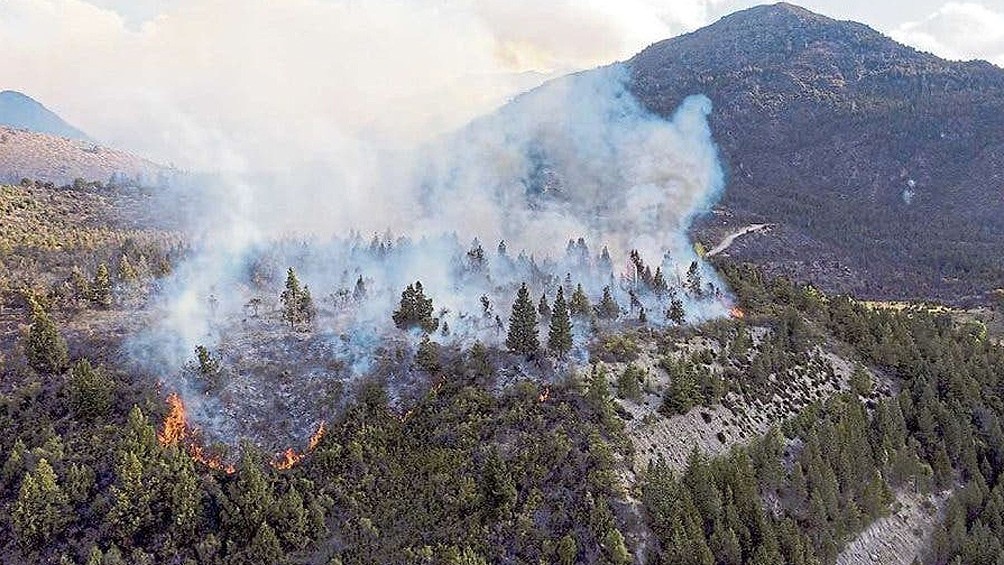 Imputan a 3 hombres y 3 mujeres por el incendio forestal en El Bolsón | Información General