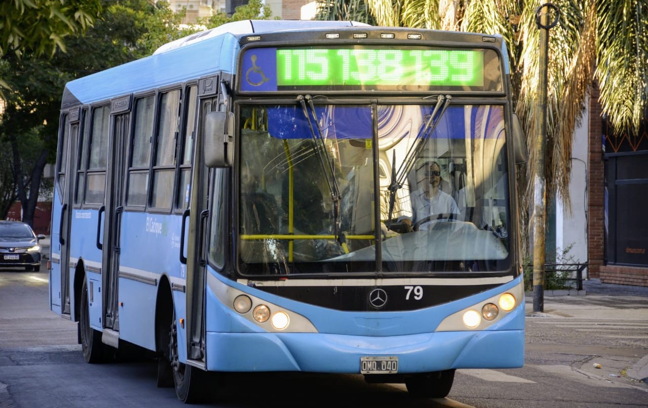 Las personas con discapacidad podrán subir al colectivo por la puerta delantera | Información General
