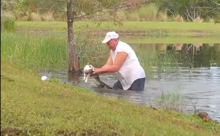 VIDEO VIRAL: en un heroico acto, un hombre logró rescatar a su perrito de ser devorado por un caimán | Tecnología