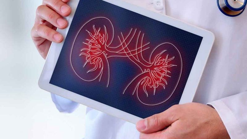 Día Mundial del Riñón: 1 de cada 8 argentinos padece enfermedades renales | Información General