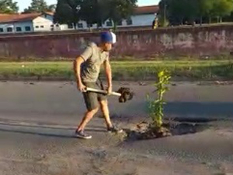 Insólito: decidió plantar un árbol en un pozo donde rompió el tren delantero | Rosario y la región