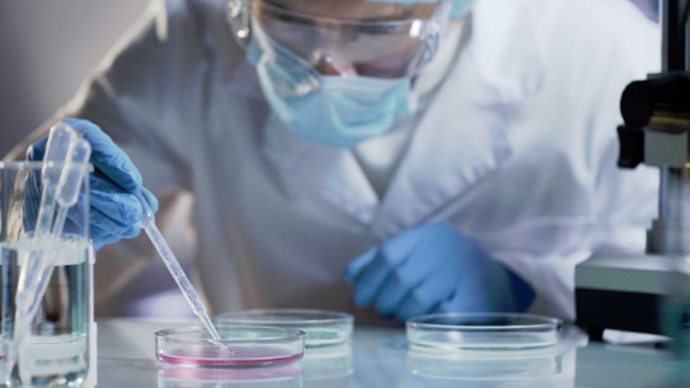 Descubren un mecanismo molecular que podría generar nuevas terapias para esclerosis múltiples | Tecnología