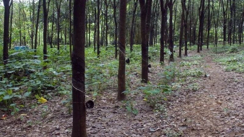 El asombroso material que todos necesitamos y que se está acabando | Internacionales