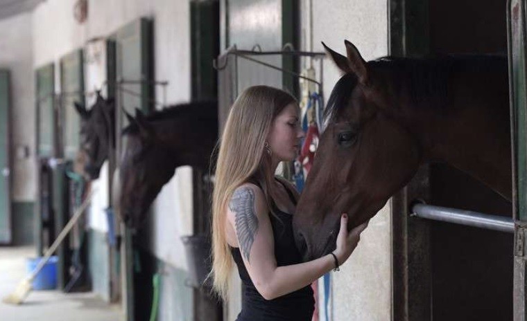 Nuevo estudio: el caballo comprende mejor cuando se le habla como a un bebé | Tecnología