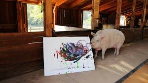 Video: "Pigcasso", el cerdo pintor que hizo un retrato abstracto del Príncipe Harry | Tecnología