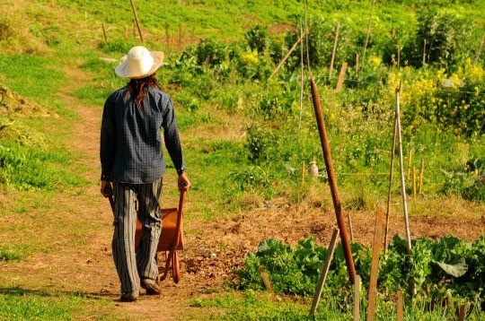 Rosario fue elegida como miembro del Comité Directivo del Pacto de Milán | Rosario y la región