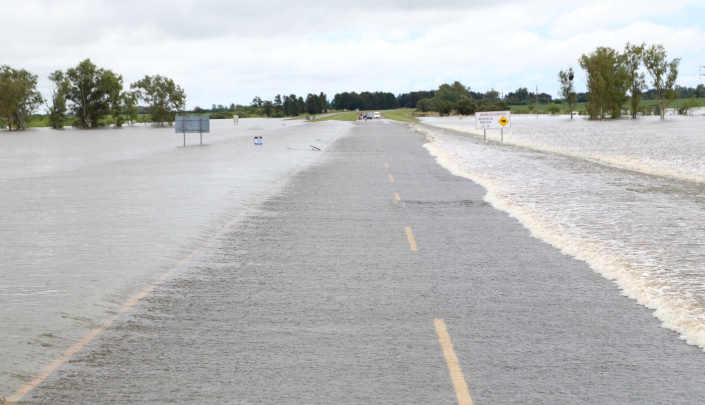 Informe de tránsito de rutas y accesos de la provincia de Santa Fe | Servicios