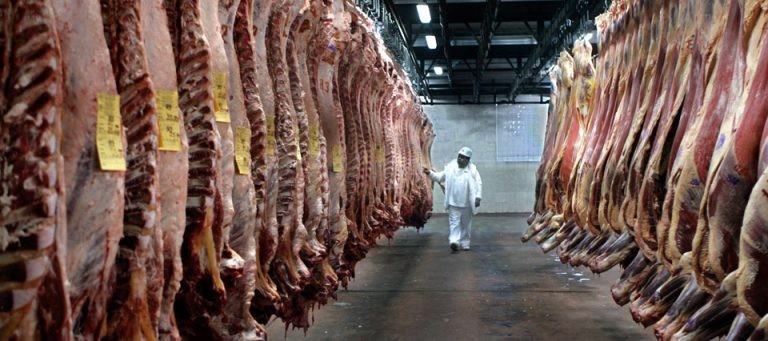 El Gobierno endureció los controles a las exportaciones de carne, granos y lácteos | Economía y negocios