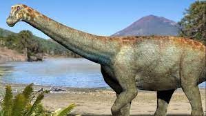 Presentan en Chile una especie desconocida de dinosaurio hallado en el desierto de Atacama | Internacionales