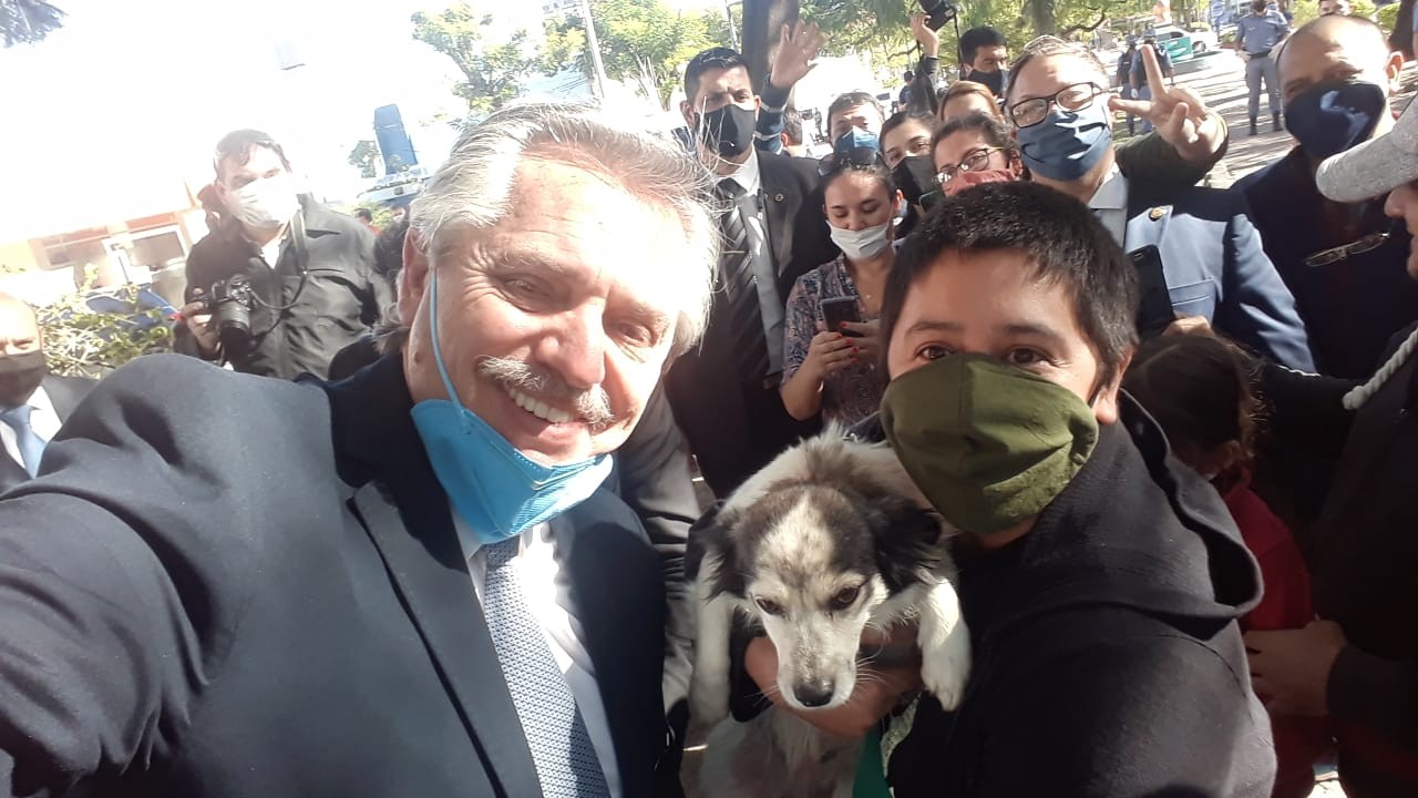 El polémico retuit de Alberto Fernández: con Putin "vacunando" un gorila | Política