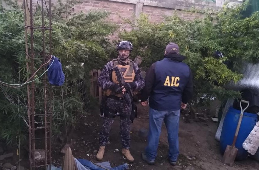 Dos detenidos y secuestro de droga valuada en 2 millones de pesos. | Rosario y la región