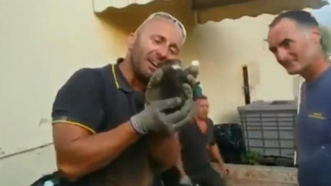 Video: el llanto de un bombero tras rescatar a un gatito que estaba atrapado | Tecnología