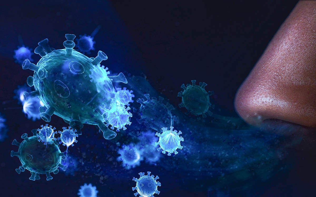 Descubren que exponer al SARS-CoV-2 a altas temperaturas lo neutraliza en menos de un segundo | Internacionales