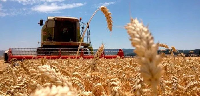 El BNA destinará $ 10.000 millones para financiar a pequeños y medianos productores | Economía y negocios