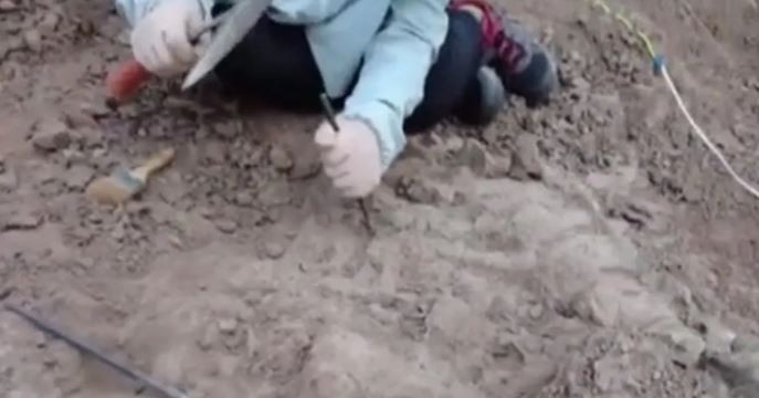 Descubren un fósil de dinosaurio joven en China | Internacionales