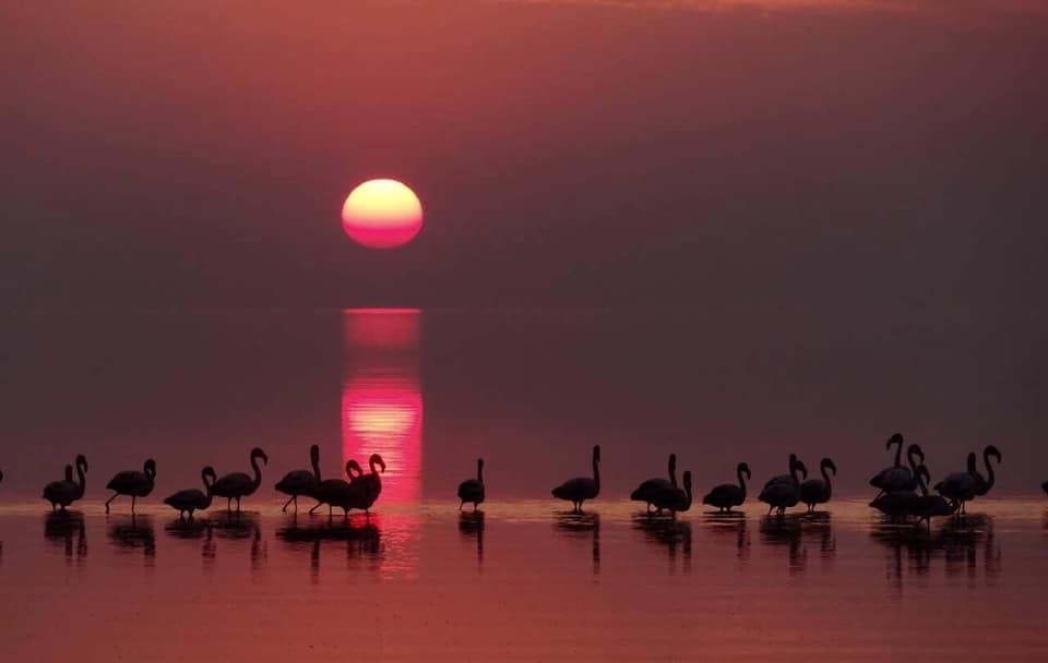 La laguna Mar Chiquita recibe el máximo estatus de conservación ambiental | Tecnología