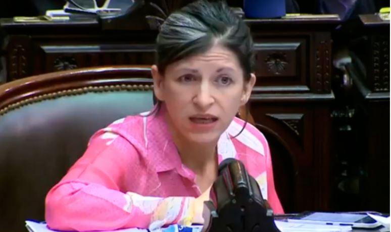 Vallejos propone subir el salario real, aumentar las retenciones al maíz y fijar cupos exportables | Economía y negocios