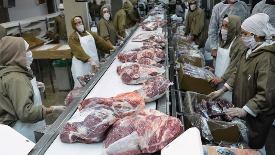 El gobierno formalizó la suspensión de las exportaciones de carne | Política