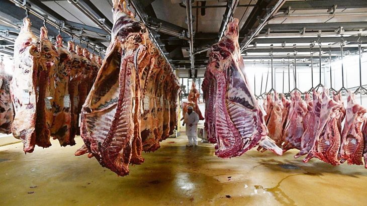 La Aduana denunció a 19 frigoríficos por fraude en exportaciones de carne | Información General