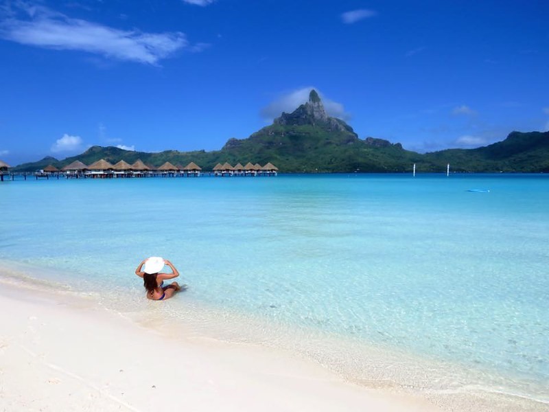 Querés viajar por el mundo y vivir gratis durante un año: mirá cómo inscribirte | Información General