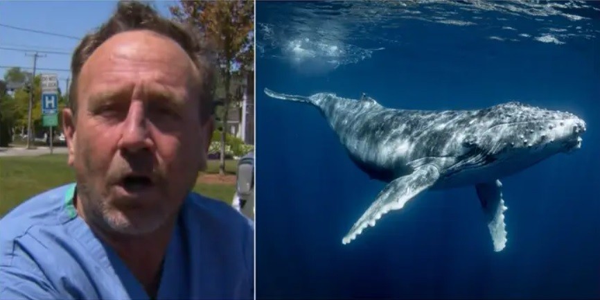 "Estuve en su boca cerrada entre 30 y 40 segundos": dieron de alta al hombre tragado y escupido por una ballena | Internacionales