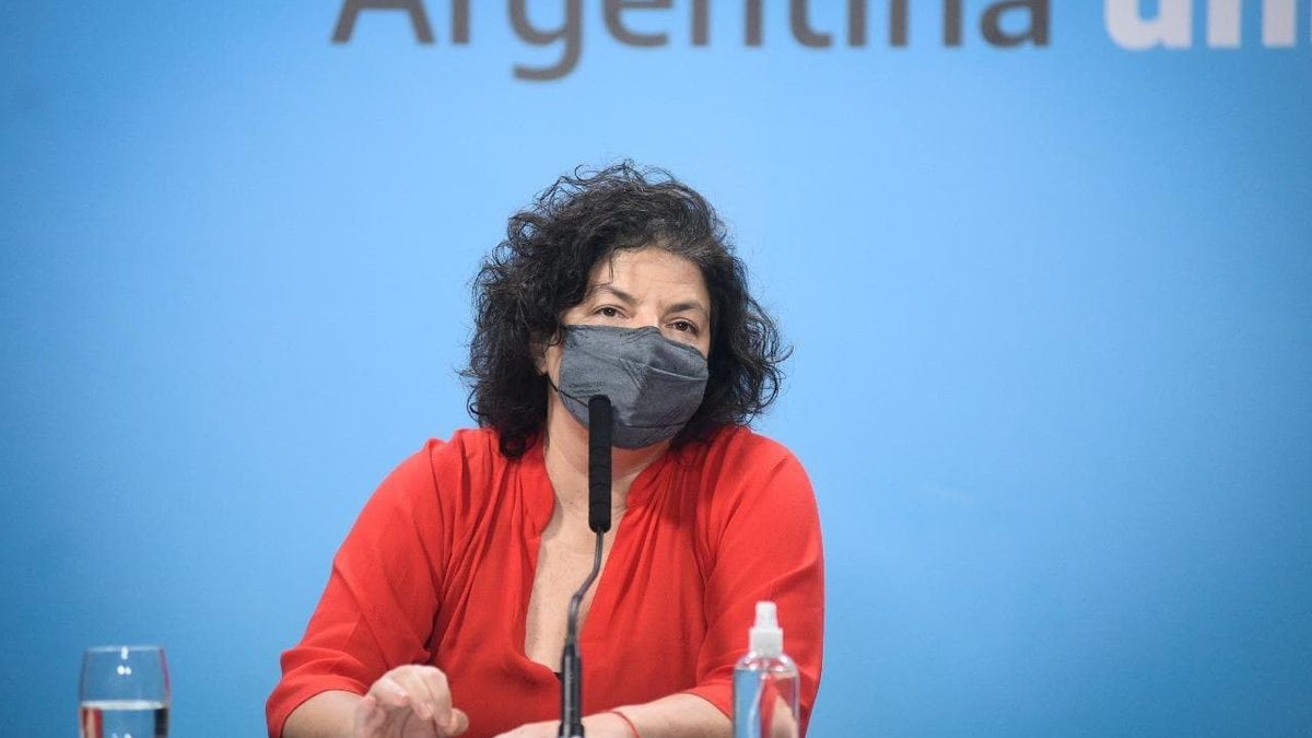 Carla Vizzotti anunció que todas las embarazadas tendrán prioridad para ser vacunadas contra el coronavirus | Política