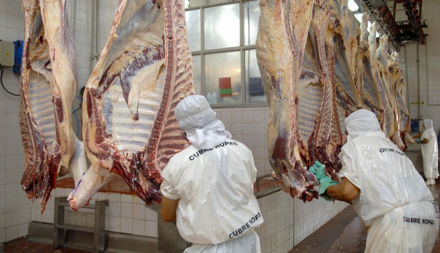 Kulfas: "La idea es retomar la semana que viene el camino de la exportación de carne" | Economía y negocios