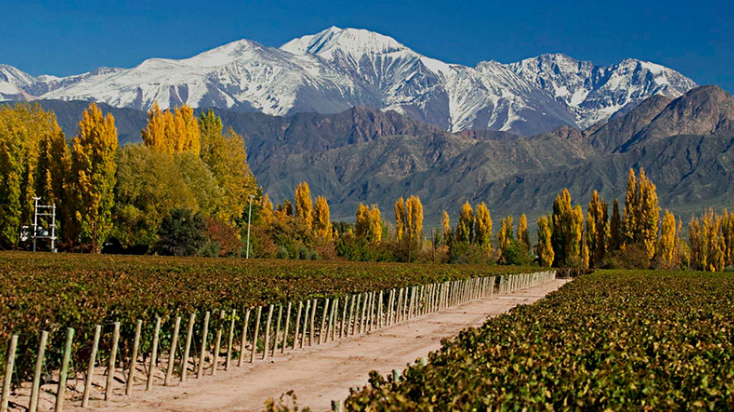 Deciden esta semana si habilitan la temporada turística de invierno | Información General