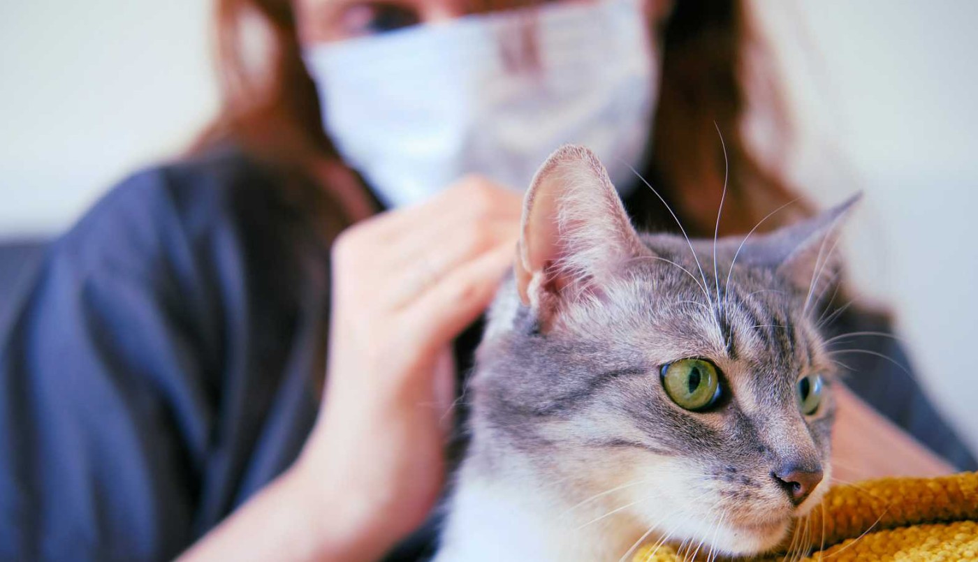 Un santafesino estudia el Covid en animales: "Las personas los están contagiando": | Información General