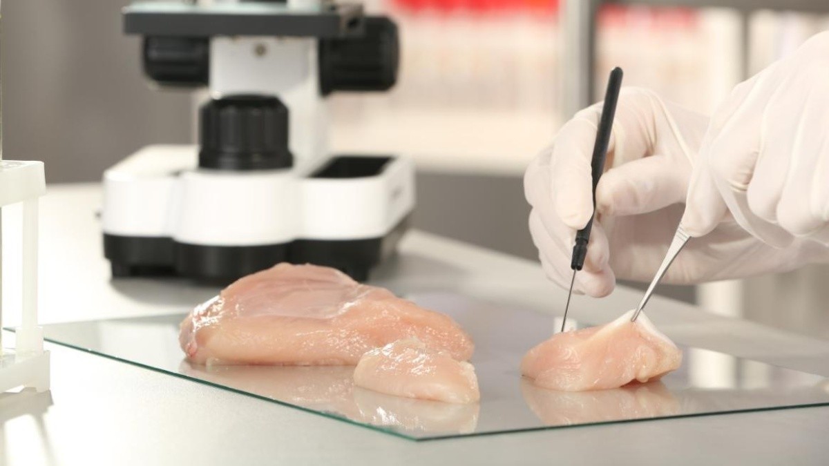 "Revolución alimentaria": un restaurante de Israel sirve pollo de laboratorio | Tecnología