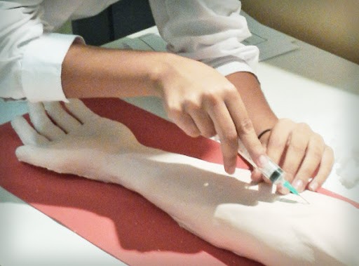 Dotarán de biosimuladores a carreras de 46 universidades | Tecnología