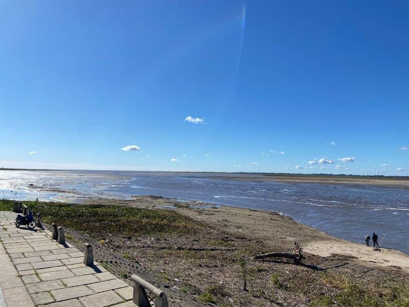 Por la bajante del Paraná, el Puerto de Santa Fe opera con barcazas y no con buques | Información General