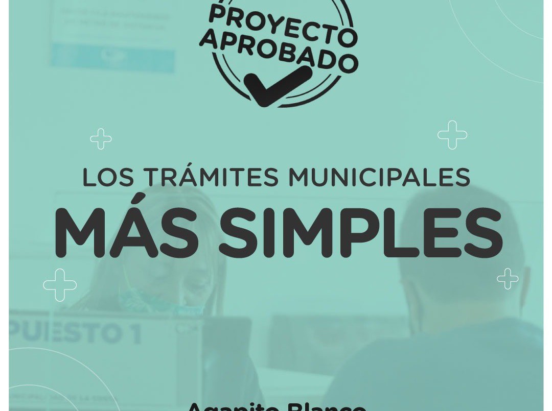 El Concejo aprobó crear una plataforma para simplificar los trámites municipales | Rosario y la región